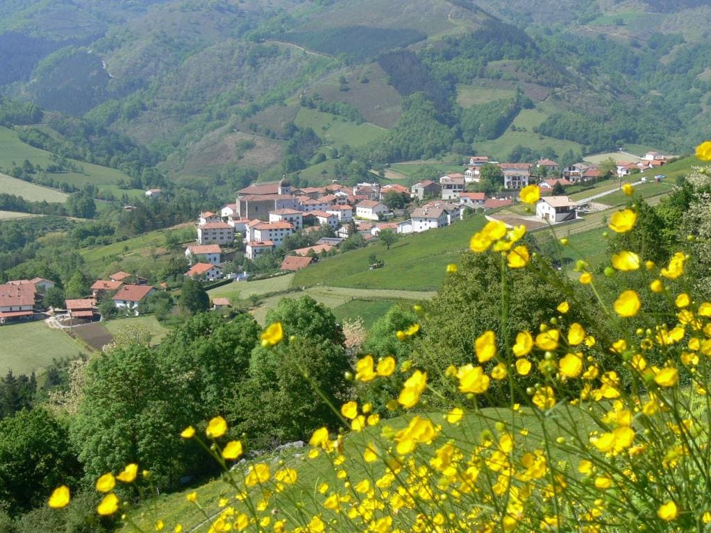 Albergue "ARANTZAKO ATERPEA" - View 3