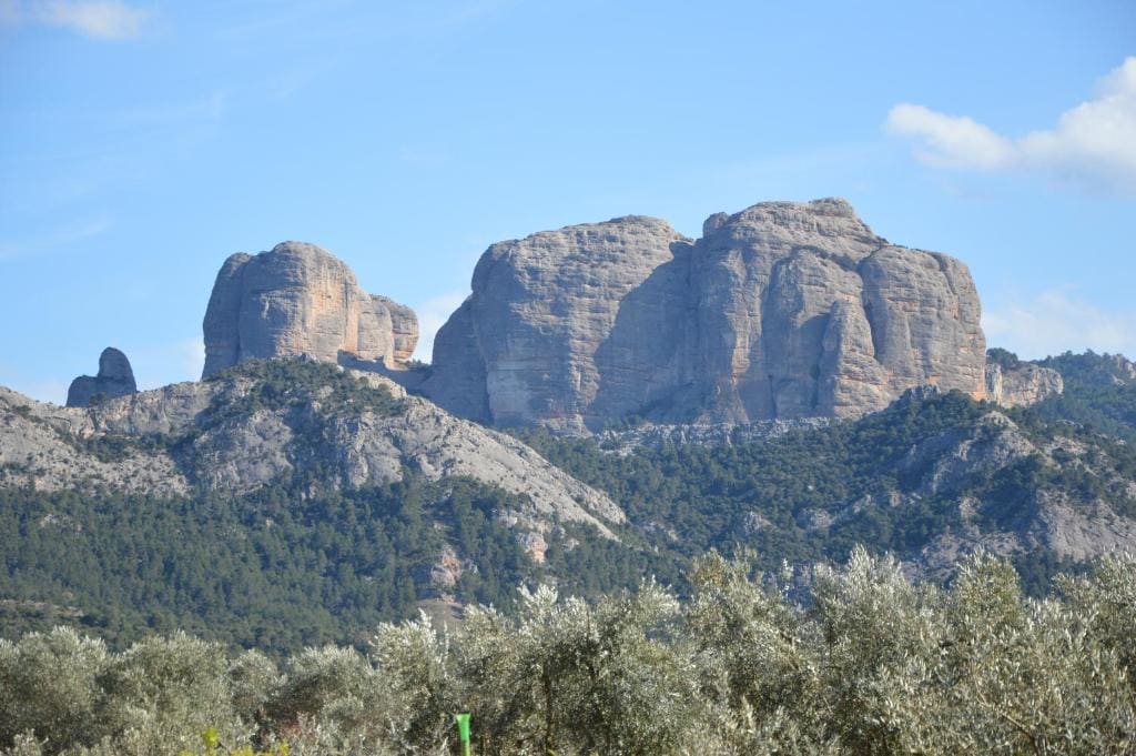 Cal Gorro - View 3
