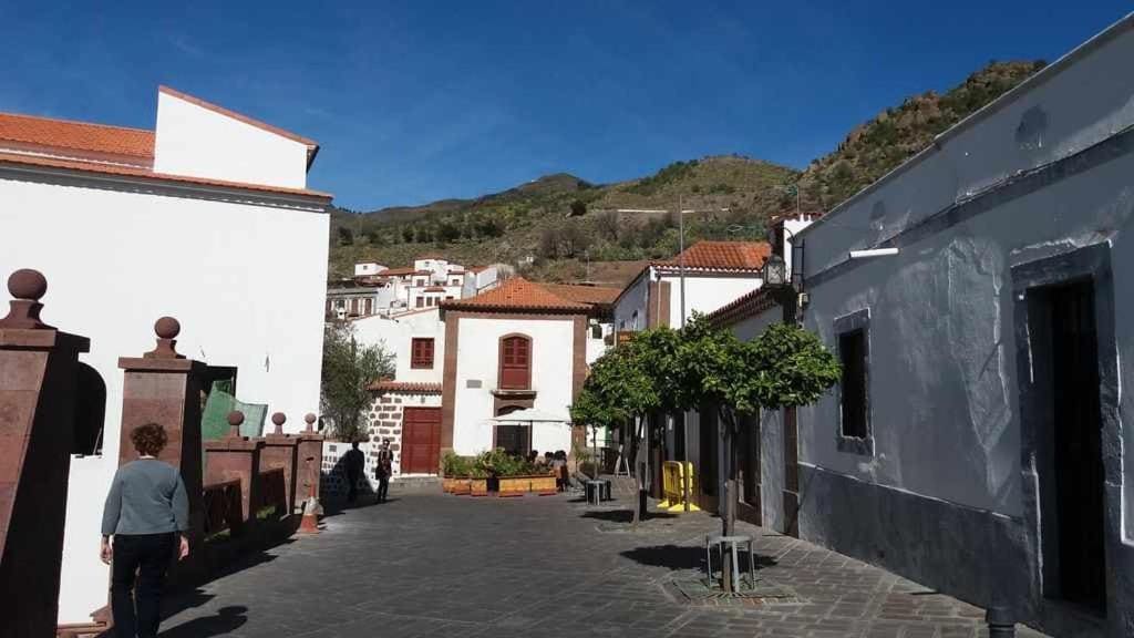 Casa Rural Las Cáscaras Tejeda Gran Canaria - View 7