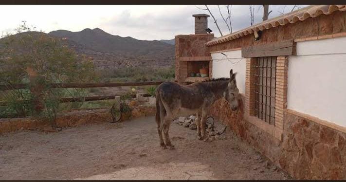 CORTIJO Rural MOLINO EL TARAHAL with pool and shared areas - View 2