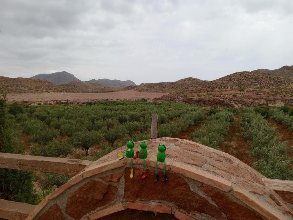 CORTIJO Rural MOLINO EL TARAHAL with pool and shared areas - Main view
