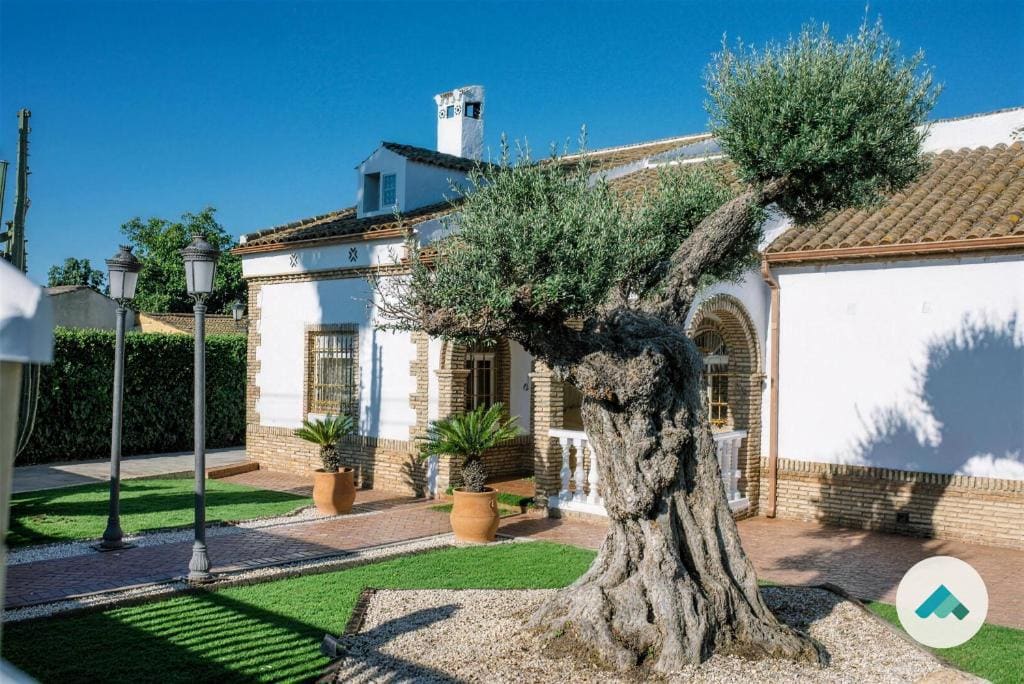 Casa Luxury El Olivo de Cordoba - Main view