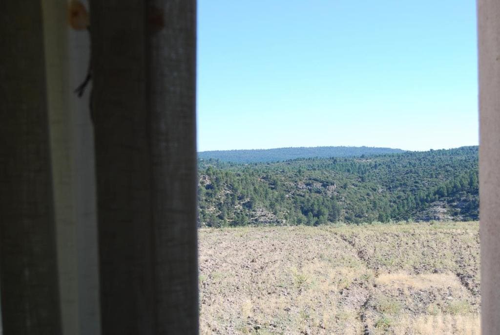 Casas Rurales Mirador Al Castillo - View 7