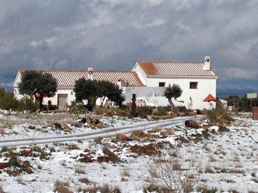 Cortijo Rural Bacares - Main view