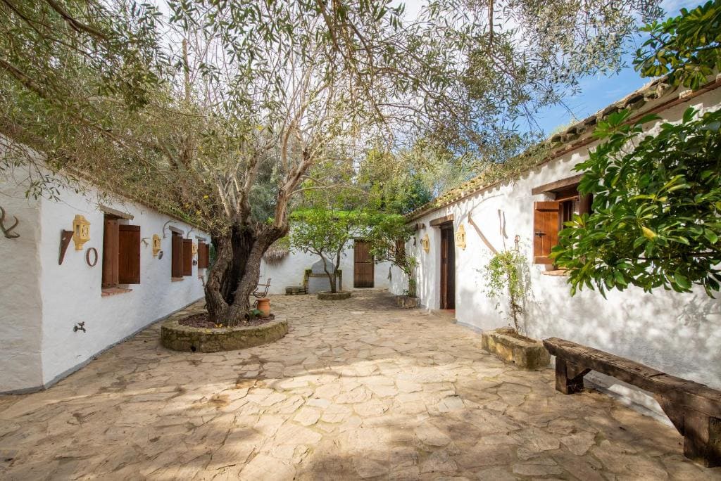 Cortijo rural las aves - Main view