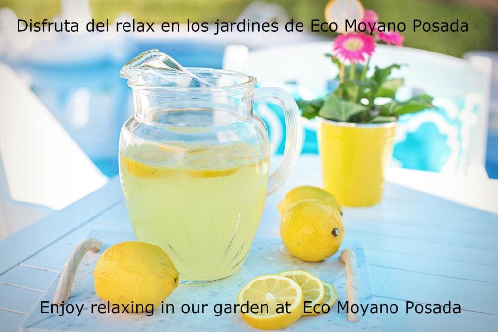 Eco Moyano Posada - View 4