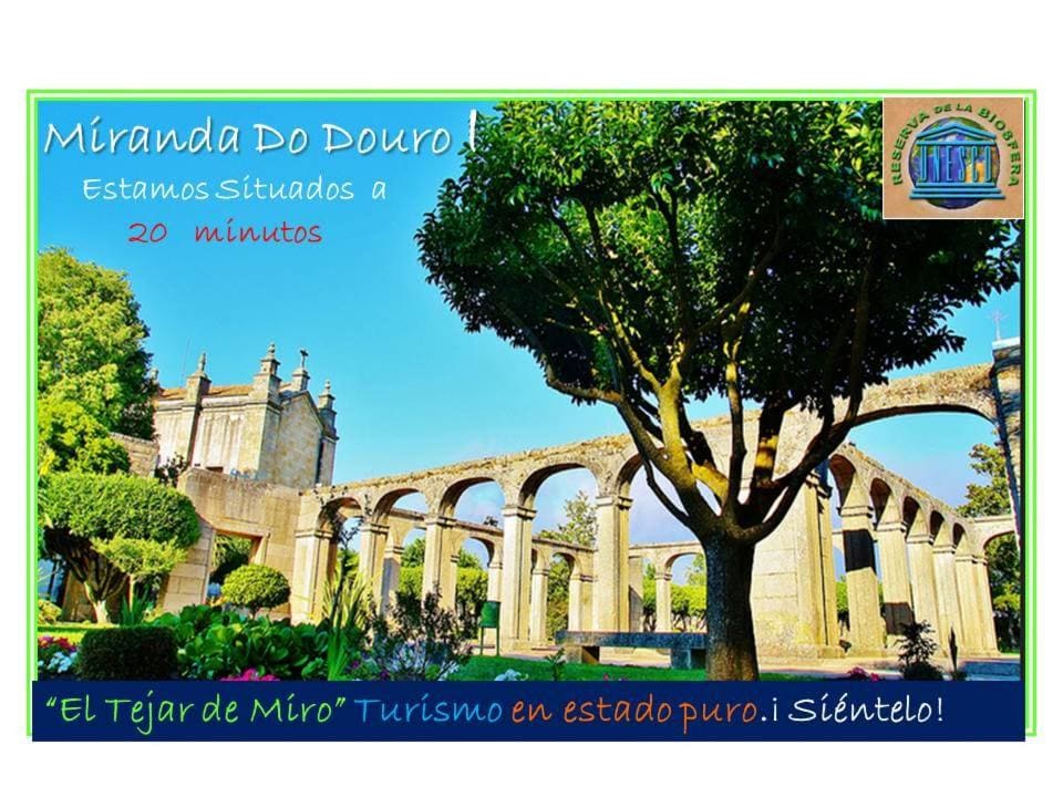 Hotel Rural El Tejar de Miro - View 7
