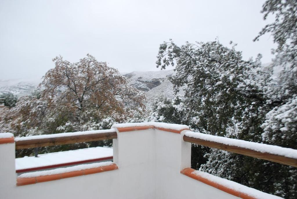 Encinar de Aguas Blancas - View 4