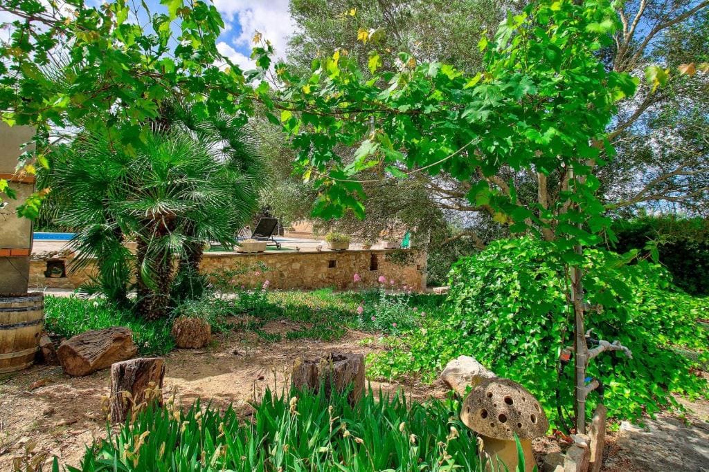 Finca Can Garbeta by Rentallorca - Main view