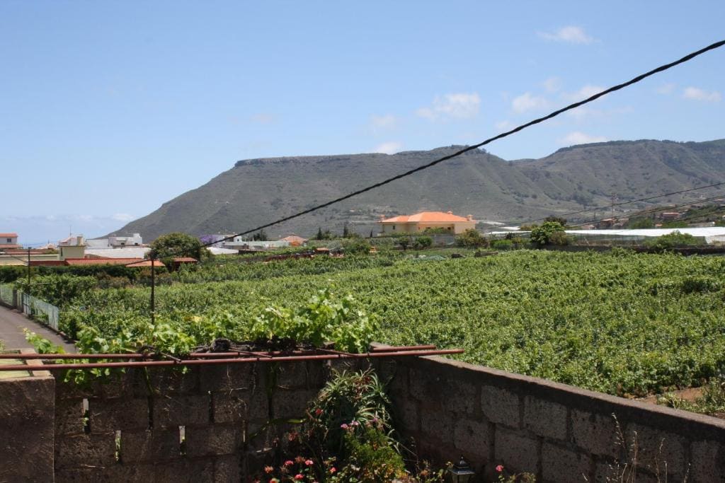Finca El Vergel Rural - Vista 4