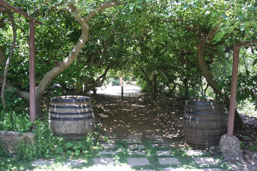 Finca El Vergel Rural - Vista 3