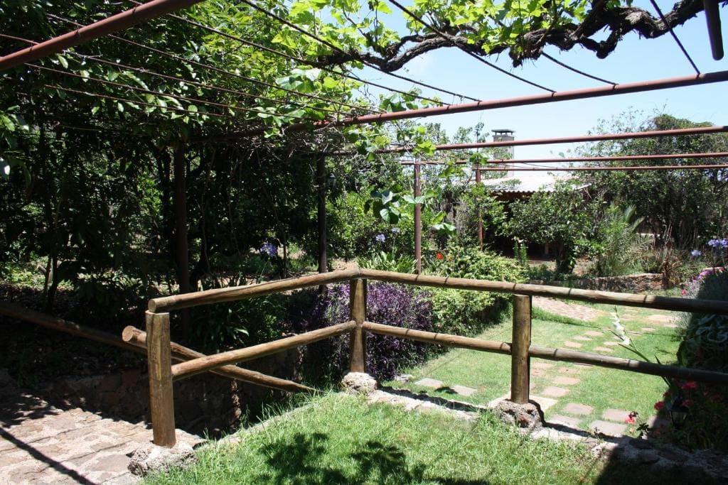Finca El Vergel Rural - Vista 7
