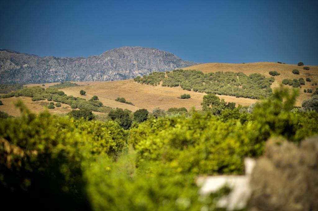 Finca Los Pajaros - Vista 2