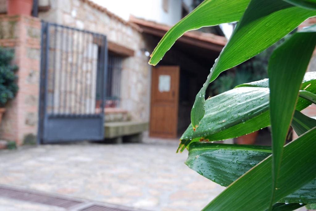 Hostal El Cardenillo - View 6