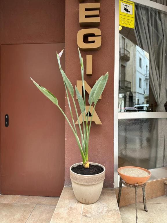 Hostal Regina - View 5