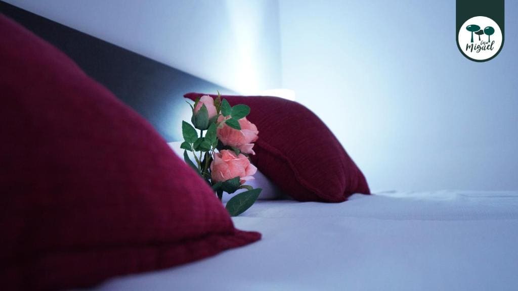 Hostal Rte. Casa Miguel - メイン写真