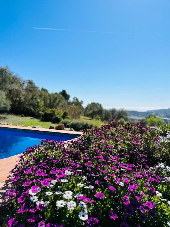 B&B La Vista Brava - View 7