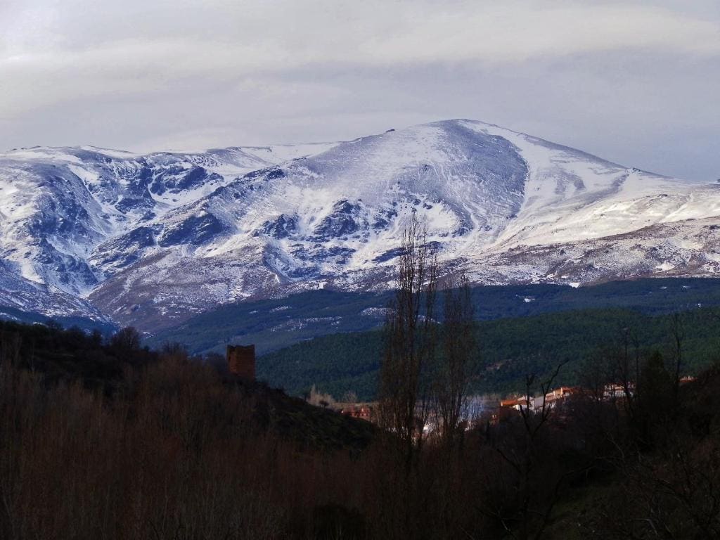 LABELLA - Hostal Rural Restaurante - View 4