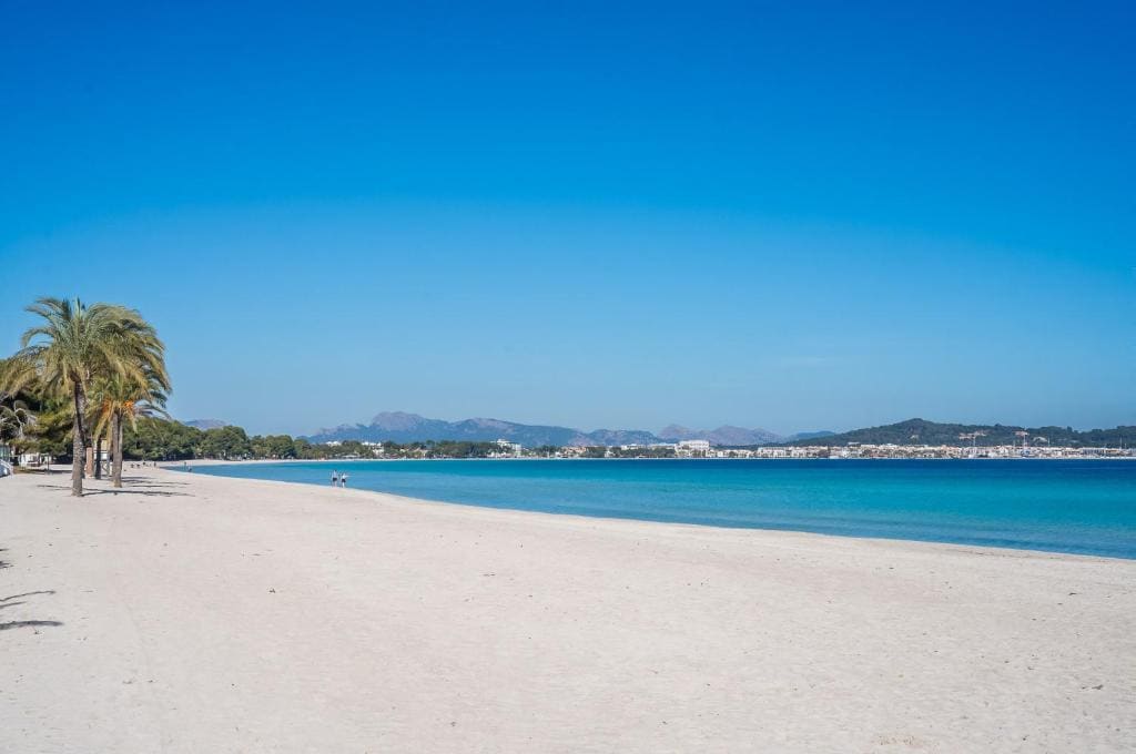 Ideal Property Mallorca - Moli - View 7
