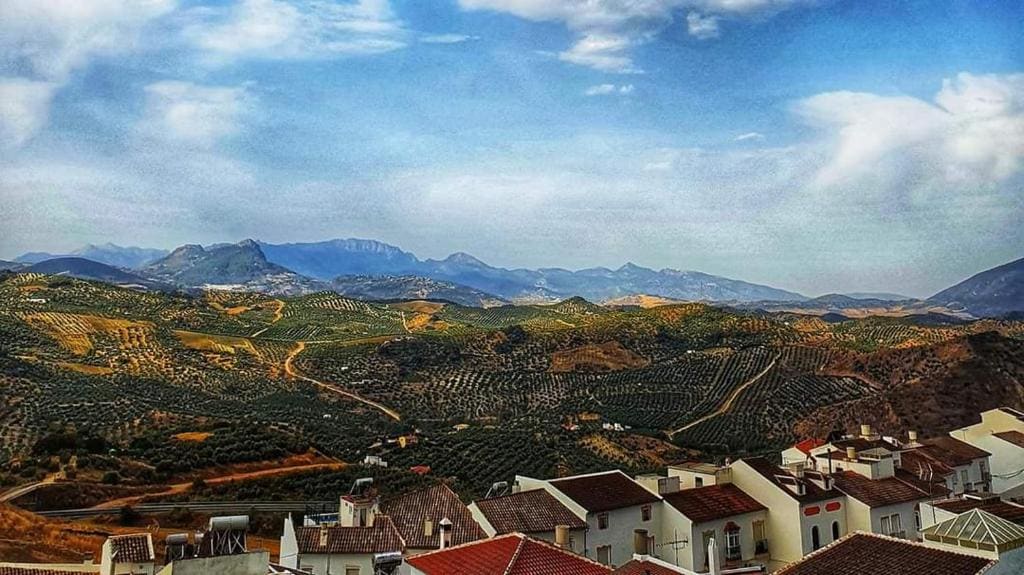 Olive Tree Guest House - View 5