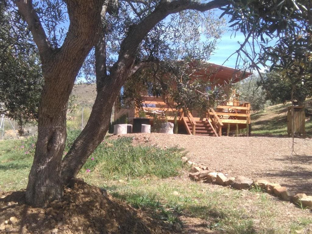 Relente - Main view