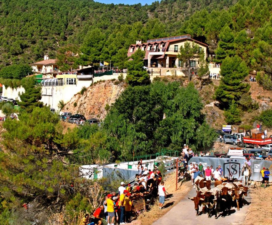 Hotel VegaSierra - Main view