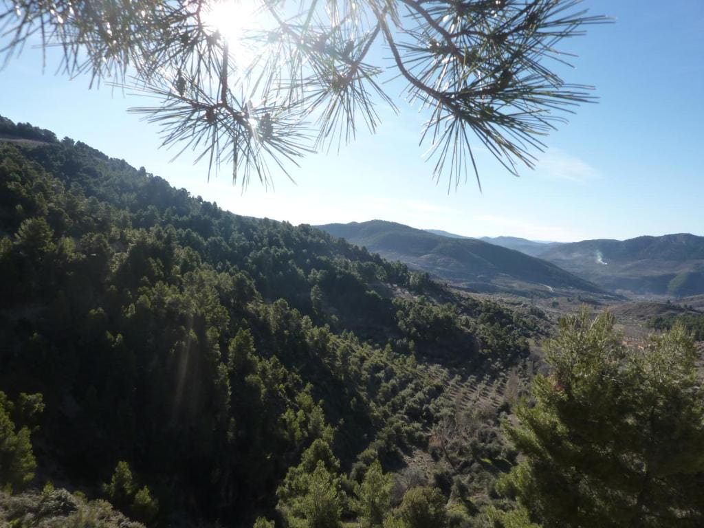 Hotel VegaSierra - View 7