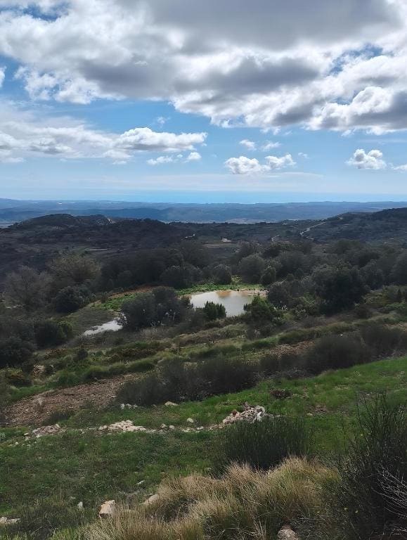 Rosa de los Vientos - View 3