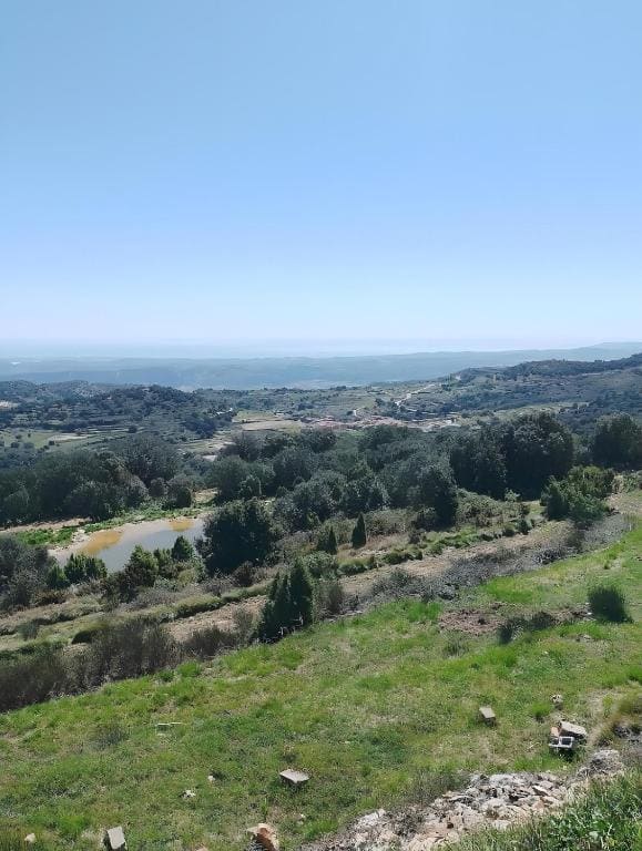 Rosa de los Vientos - View 4