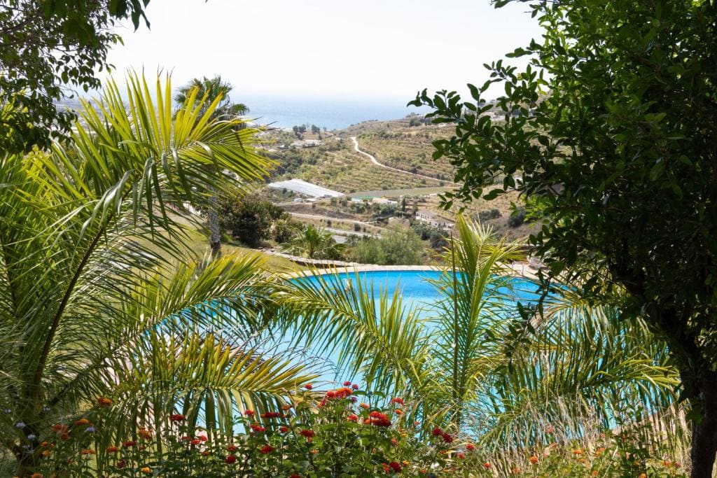 La Casa del Burro - View 2