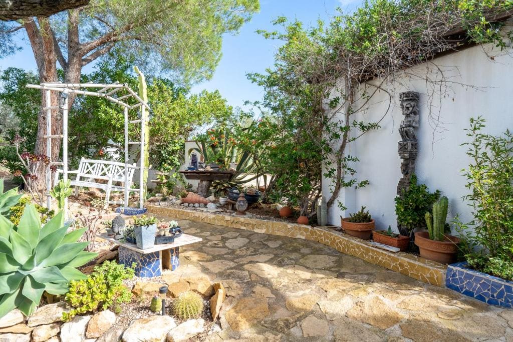 Suite Premium en la naturaleza - View 4
