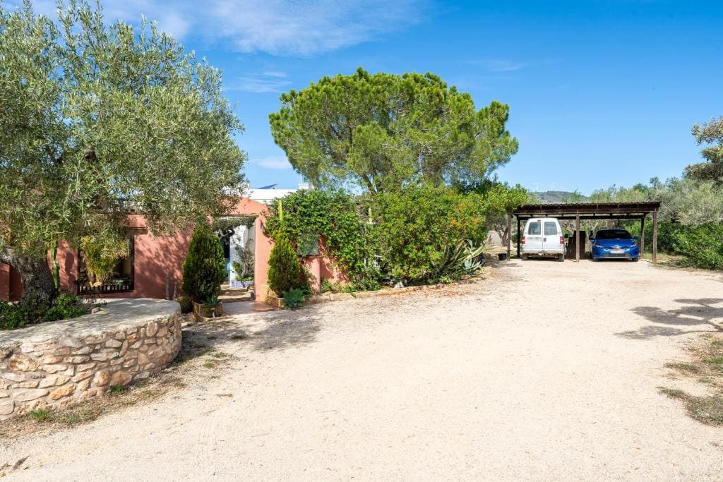 Suite Premium en la naturaleza - Main view
