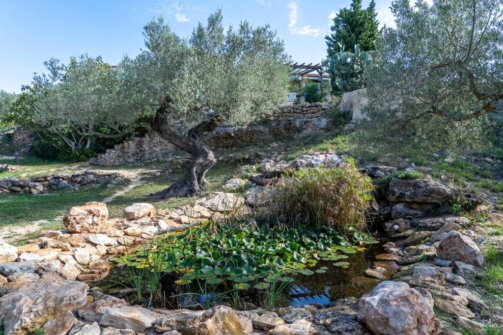 Suite Premium en la naturaleza - View 6