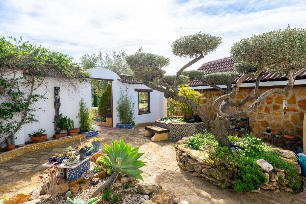 Suite Premium en la naturaleza - View 3
