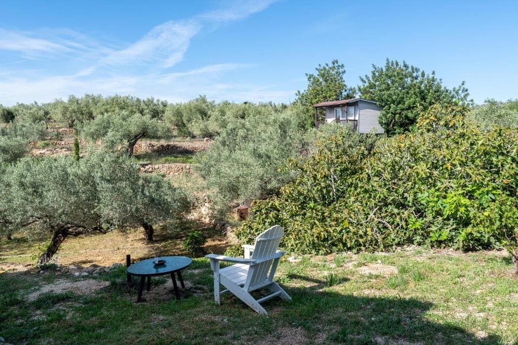 Suite Premium en la naturaleza - View 7