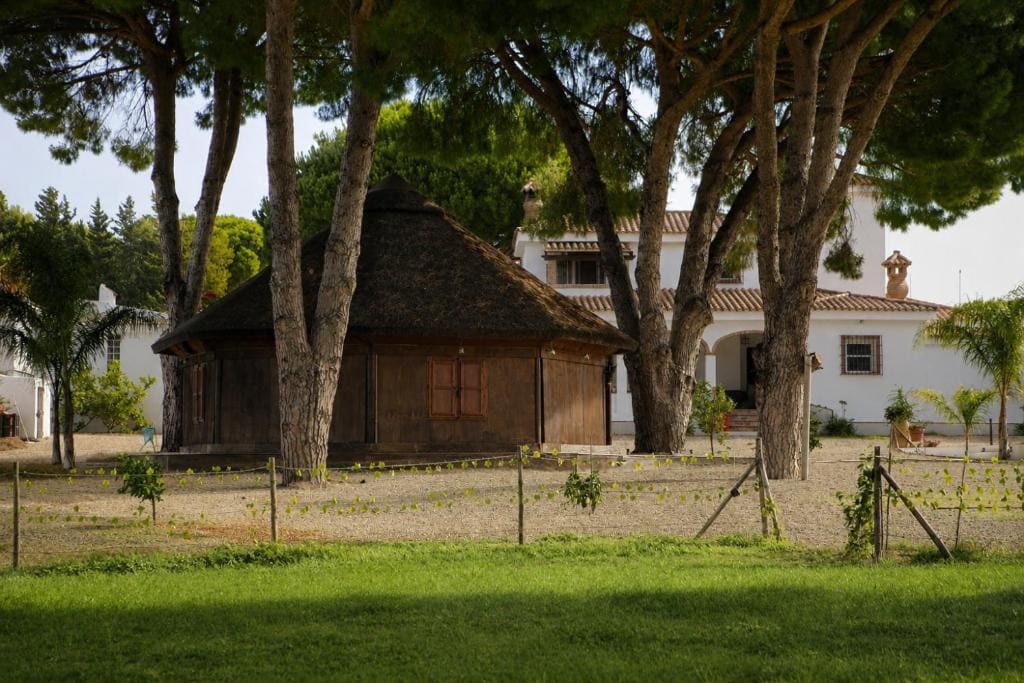 CÁDIZ -TIPI en Chiclana de la frontera, España - View 5