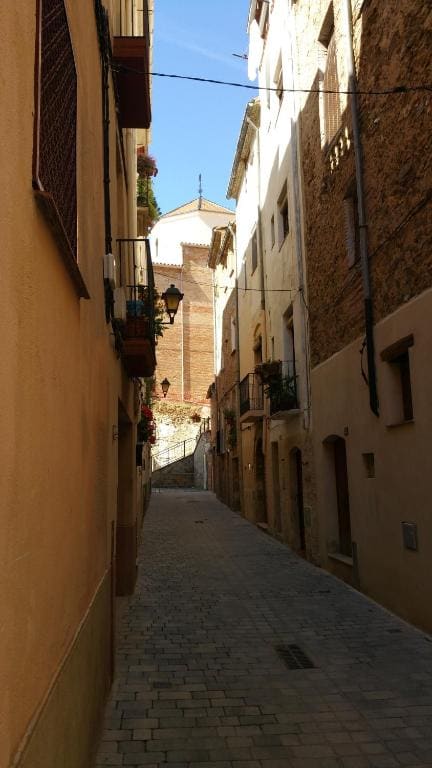 La Llicorella - Main view