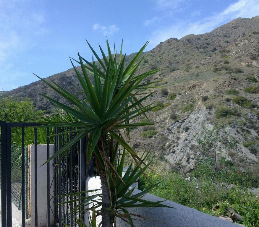 Pensión Restaurante Venta El Molino — Ansicht 6
