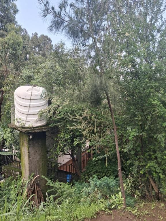 Best Lalibela Home Stay - View 6