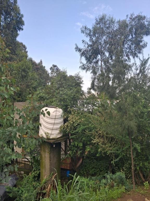 Best Lalibela Home Stay - View 5