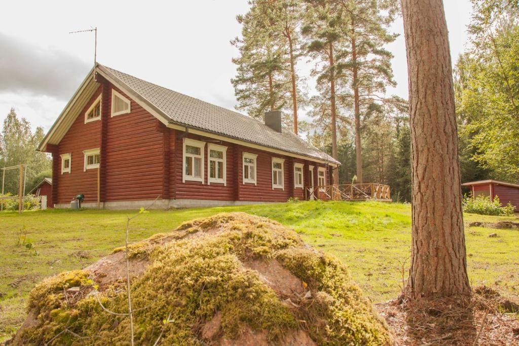 Heinähattu - Vista 6