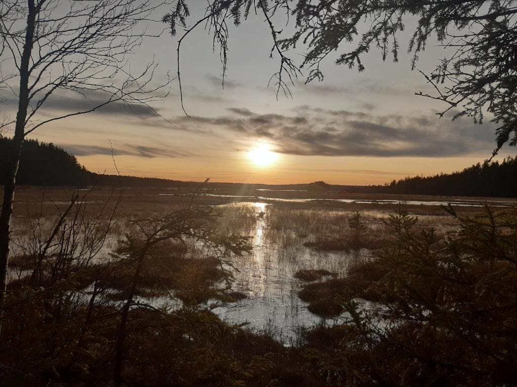 Kirjakkalan Ruukkikylä - View 2