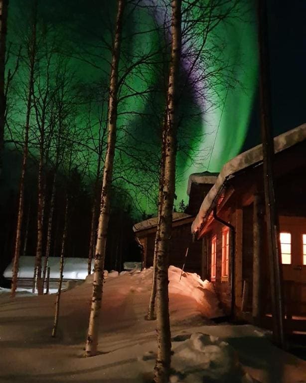 Isokenkäisten Klubi - Wilderness Lodge - View 7