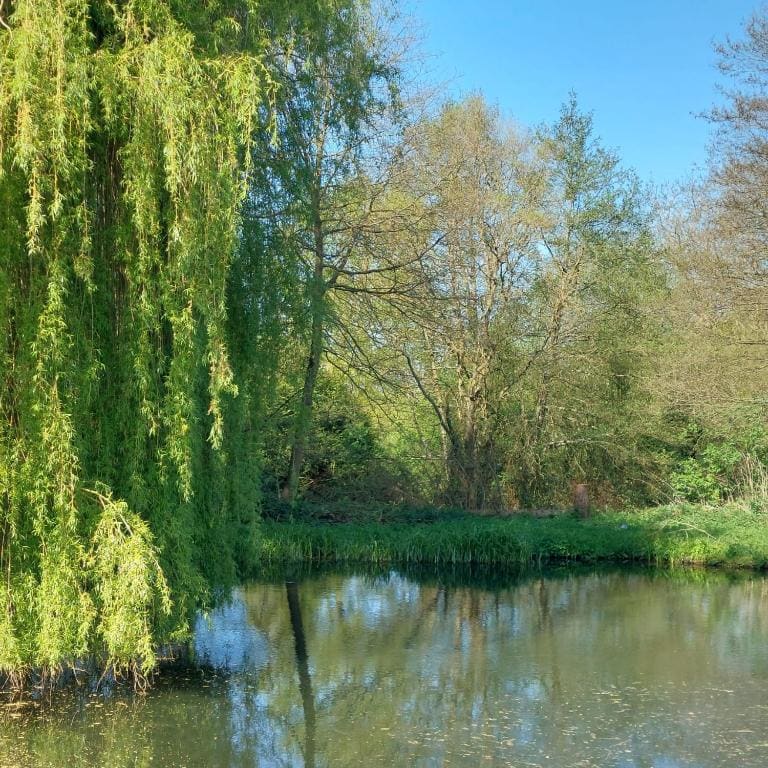 Maison au calme avec jardin exotique pour 7 personnes - View 6