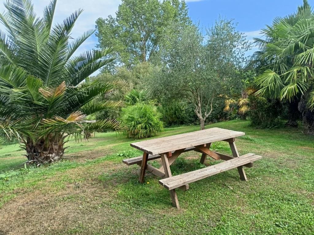 Maison au calme avec jardin exotique pour 7 personnes - View 3