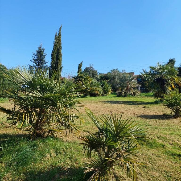 Maison au calme avec jardin exotique pour 7 personnes - View 5