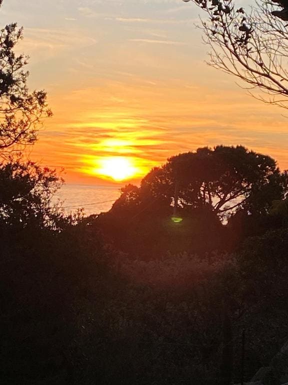 A Pineta Corsa - View 2