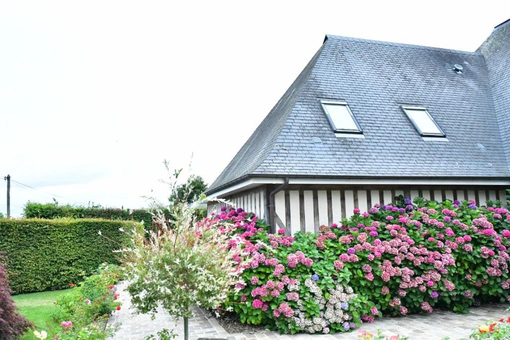 Au Milieu des Haras - Main view