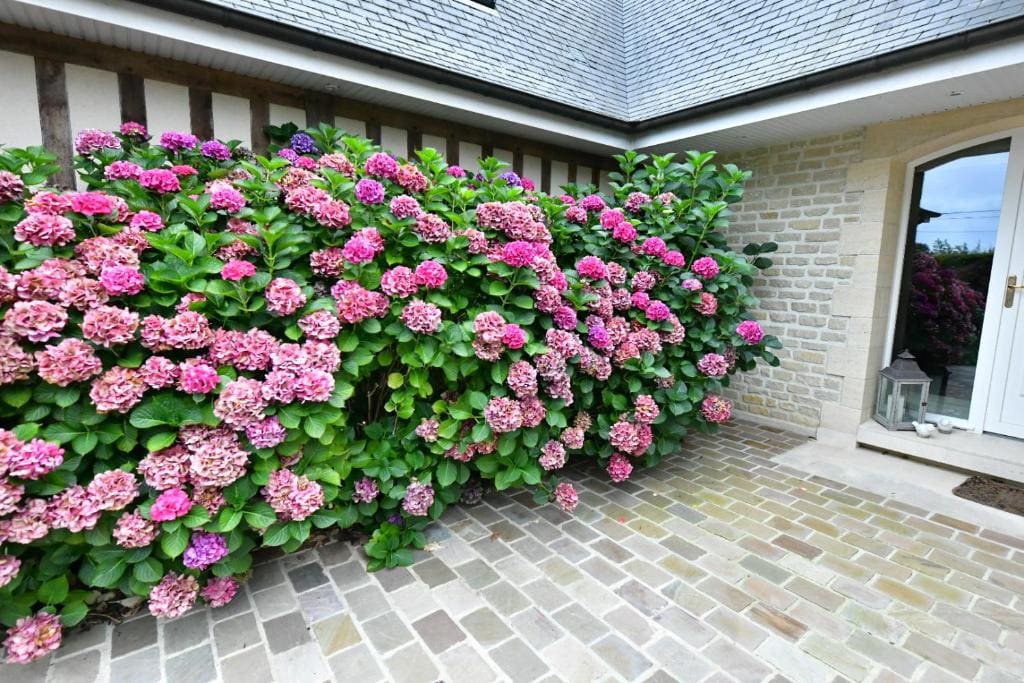 Au Milieu des Haras - View 2