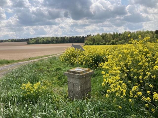 Domaine de la Renardière - Gite & Chambre d'hôtes, La Veuve - View 2